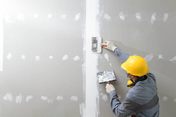 Best Mold Removal for HVAC Installations  in Clearlake Oaks, CA
