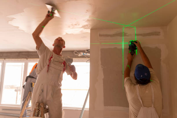 Trusted Clearlake Oaks, CA Mold Removal Experts