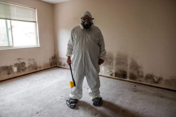 Best Mold Damage Restoration  in Clearlake Oaks, CA
